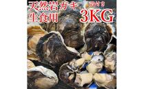 【ポイント交換専用】129.【先行予約】天然岩ガキ　3kg（殻付き）岩がき　牡蠣◇　※2026年6月～8月上旬頃に順次発送予定&nbsp;※北海道・沖縄・離島への配送不可