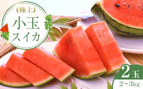 【ポイント交換専用】248.【先行予約】極上小玉スイカ　２玉　※6月上旬～8月中旬頃に順次発送予定