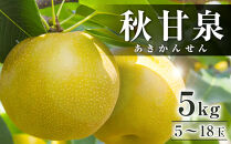 【ポイント交換専用】293.【先行予約】秋甘泉　5kg前後（5～18玉前後）◇　※2025年9月中旬～9月下旬頃に順次発送予定