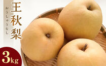 【ポイント交換専用】299.【先行予約】王秋梨&nbsp;3kg前後&nbsp;◇◇　※2026年10月下旬～12月上旬頃に順次発送予定