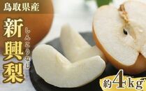 【ポイント交換専用】303.【先行予約】新興梨　秀　約4Kg（4～16玉前後）&nbsp;※10月～11月下旬頃に順次発送予定