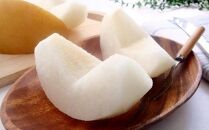 【ポイント交換専用】303.【先行予約】新興梨　秀　約4Kg（4～16玉前後）&nbsp;※10月～11月下旬頃に順次発送予定