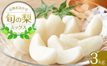 【ポイント交換専用】308.【先行予約】【品種はおまかせ】旬の梨ミックスセット&nbsp;3kg　※2026年8月下旬～12月下旬頃に順次発送予定