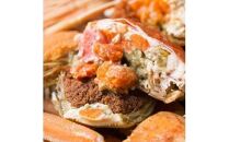 【ポイント交換専用】120.【活き】訳あり&nbsp;足折れ&nbsp;ご自宅用&nbsp;日本海獲れたて親ガニ（セコガニ）6枚　※2025年11月上旬～12月下旬頃に順次発送予定