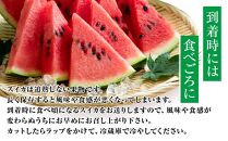【ポイント交換専用】【先行予約】大玉スイカ『羅皇ザ・スウィート』（こちらの西瓜は大栄西瓜ではありません）&nbsp;2026年7月上旬～7月中旬頃に順次発送