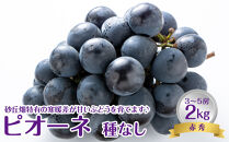 737.【先行予約】【JA】ピオーネ（種なし）赤秀2kg箱（3～5房入） ※着日指定不可 ※離島への配送不可 ※2025年8月初旬頃～8月下旬頃に順次発送予定【ぶどう ブドウ 葡萄 ピオーネ 赤秀 フルーツ 果物 鳥取県 北栄町 おすすめ 人気】