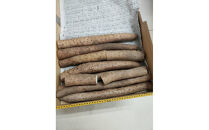 【ポイント交換専用】981.【訳あり】砂丘ながいも　1kg《検索用ワード:長芋・とりたて・とろろ・ねばり・山芋》