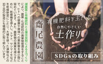 【ポイント交換専用】968.安納芋の完熟干し芋5袋セット【安納芋&nbsp;干し芋&nbsp;芋&nbsp;いも&nbsp;低温乾燥&nbsp;黄金色&nbsp;5袋&nbsp;セット&nbsp;鳥取県&nbsp;北栄町&nbsp;おすすめ&nbsp;人気&nbsp;おやつ】