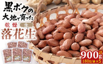 【ポイント交換専用】966.黒ボクの大地で育てた乾燥落花生&nbsp;5袋セット【落花生&nbsp;らっかせい&nbsp;乾燥&nbsp;豆&nbsp;おつまみ&nbsp;ピーナッツ&nbsp;殻なし&nbsp;マメ&nbsp;まめ&nbsp;料理&nbsp;鳥取県&nbsp;北栄町&nbsp;おすすめ&nbsp;人気】