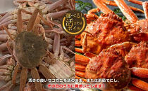 【ポイント交換専用】921.【活】鳥取県産　セコガニ　訳あり良品　1ｋg(5～7枚)《かに カニ 蟹 セコガニ※2025/11/6～2025/12/25に順次発送予定※着日指定不可  離島不可（北海道、沖縄本島は配送可能）