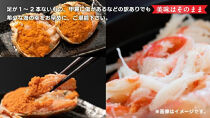 【ポイント交換専用】921.【活】鳥取県産　セコガニ　訳あり良品　1ｋg(5～7枚)《かに カニ 蟹 セコガニ※2025/11/6～2025/12/25に順次発送予定※着日指定不可  離島不可（北海道、沖縄本島は配送可能）