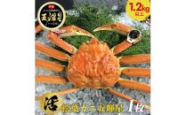 【ポイント交換専用】576.【活】鳥取ブランド　松葉ガニ　『五輝星』※2025年11月上旬～2026年3月下旬頃に順次発送予定※着日指定不可