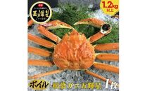 【ポイント交換専用】576.【ボイル】鳥取ブランド　松葉ガニ『五輝星』※2025年11月上旬～2026年3月下旬頃に順次発送予定※着日指定不可