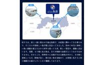 【ポイント交換専用】694【早期受付】【活】足1本なし　訳あり　松葉ガニ　中1枚（700g前後）《かに&nbsp;カニ&nbsp;蟹&nbsp;ズワイガニ&nbsp;》※着日指定不可※2025年11月上旬頃から順次発送予定