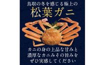 【ポイント交換専用】693.【早期受付】【ボイル】足1本なし　訳あり　松葉ガニ　大1枚（800g前後）《かに&nbsp;カニ&nbsp;蟹&nbsp;ズワイガニ&nbsp;》※着日指定不可※2025年11月上旬頃から順次発送予定