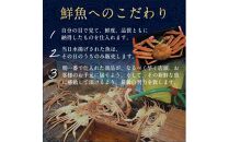 【ポイント交換専用】692.【早期受付】【ボイル】足1本なし　訳あり　松葉ガニ　特大1枚（900g～1kg前後）《かに&nbsp;カニ&nbsp;蟹&nbsp;ズワイガニ&nbsp;》※着日指定不可※2025年11月上旬頃から順次発送予定