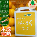 ちょっと 傷あり 4月 まで 木成 完熟 させた 有田 はっさく 2L ～ M ( 4玉 ～ 6玉 ) 手さげ箱 ムッキー 同梱 南泰園 みかん