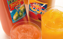 【お中元用】グァバ・マンゴージュースセット 500ml×2本（N023SM-C）