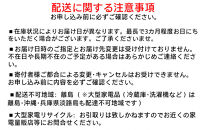 非常用トイレセット 10g 100回分 BTS10-100