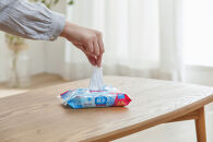 【60枚入り×24個】純水ウェットティッシュ&nbsp;60枚入&nbsp;WTS-60P3P