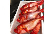 ・生から湯煎で仕上げる、金目鯛の煮付け【切身2枚】【惣菜 キンメ きんめ お取り寄せ 御中元 お中元 お歳暮 父の日 母の日 贈り物 日本酒 焼酎 稲取産 高級地金目使用 煮付け 神奈川県 小田原市 】