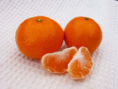 あきさわ園の木なり完熟みかん　10kg〈出荷時期:2025年11月1日出荷開始～2025年12月15日出荷終了〉【 みかん 神奈川県 小田原市 】