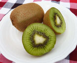 手摘み熟成キウイフルーツ〈出荷時期:2025年11月1日出荷開始～2026年6月10日出荷終了〉【手摘み熟成キウイフルーツ 丁寧に収穫 小田原のキウイフルーツ 熟成キウイフルーツ 神奈川県 小田原市 】