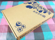 手摘み熟成キウイフルーツ〈出荷時期:2025年11月1日出荷開始～2026年6月10日出荷終了〉【手摘み熟成キウイフルーツ 丁寧に収穫 小田原のキウイフルーツ 熟成キウイフルーツ 神奈川県 小田原市 】