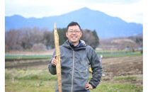 お店の味をご家庭で。【箱根自然薯の森&nbsp;山薬】自然薯セット(2～3人前×2回分)【とろろ&nbsp;極上とろろ&nbsp;山芋&nbsp;箱根&nbsp;お家用&nbsp;家庭用&nbsp;国産&nbsp;セット商品&nbsp;自然薯&nbsp;神奈川県&nbsp;小田原市&nbsp;】