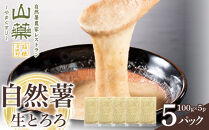 自然薯の味をお楽しみください。自然薯生とろろ100ｇ×５ｐセット【とろろ&nbsp;極上とろろ&nbsp;山芋&nbsp;箱根&nbsp;お家用&nbsp;家庭用&nbsp;国産&nbsp;セット商品&nbsp;自然薯&nbsp;味付とろろ&nbsp;神奈川県&nbsp;小田原市&nbsp;】