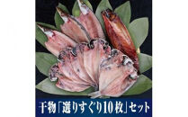 【水産事業者を応援しよう！】小田原名物「干物」をさまざまな魚でそれぞれのおいしさを。小田原干物 選りすぐり10枚セット【惣菜 魚 ひもの 選りすぐり10枚セット こだわりの逸品 おすすめの10枚セット ひもの食べつくし 神奈川県 小田原市 】