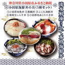 【曽我の梅干し、小田原地あじ、小田原港直送地魚丼、大磯港直送湘南生しらす】小田原海鮮丼の具（5種セット）【ふじ丸海鮮丼 湘南生シラス丼 小田原地魚丼 小田原地あじたたき丼 国産活〆真鯛丼 神奈川県 小田原市 】