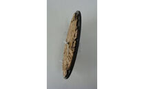 新マンホールデザイン「小田原巡り」制作記念時計【マンホール&nbsp;小田原マンホール&nbsp;小田原巡り&nbsp;制作記念時計&nbsp;マンホールモチーフ時計&nbsp;直径：250mm&nbsp;厚さ（本体部分）：9mm&nbsp;厚さ（時計部分含む）：26mm&nbsp;神奈川県&nbsp;小田原市&nbsp;】