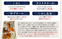 小田原おでんお取り寄せセット大106【惣菜 おでん 小田原のおでん さつま揚げ 鯵さつま うずら包み タコネギボール しんじょ いわしの黒はんぺん ごぼう巻き いわし昆布ボール おでんつゆ 梅みそ 神奈川県 小田原市 】