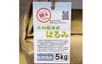 志村屋米穀店&nbsp;令和7年産新米小田原市産　はるみ&nbsp;&nbsp;5kg＜出荷時期：10月中旬より順次出荷開始＞