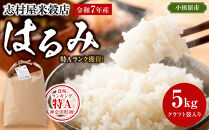 志村屋米穀店&nbsp;令和7年産小田原市産　はるみ&nbsp;&nbsp;5kg