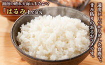 志村屋米穀店&nbsp;令和7年産小田原市産　はるみ&nbsp;&nbsp;5kg