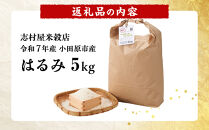 志村屋米穀店&nbsp;令和7年産小田原市産　はるみ&nbsp;&nbsp;5kg