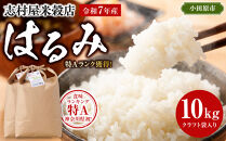 志村屋米穀店&nbsp;令和7年産小田原市産　はるみ　10kg（5kgｘ2）