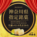 小田原老舗和菓子店の手づくり片浦レモンの生ようかん【和菓子店 手作りようかん 片浦レモンの生ようかん  職人の手作り 神奈川県指定銘菓 レモン 和スイーツ   神奈川県 小田原市 】