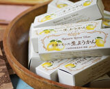 小田原老舗和菓子店の手づくり片浦レモンの生ようかん【和菓子店 手作りようかん 片浦レモンの生ようかん  職人の手作り 神奈川県指定銘菓 レモン 和スイーツ   神奈川県 小田原市 】