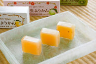 【さっぱりとした現代感覚のフルーツ生ようかんセット】（片浦レモン、小田原キウイ、ジンジャー入り小田原梅 各1本）創業昭和10年 小田原 伊勢屋【 和菓子店 ようかん 神奈川県指定銘菓 神奈川県 小田原市 】