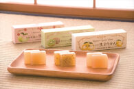 小田原老舗和菓子店の手づくりようかん5本セット【和菓子店　手づくりようかん5本セット レモンようかん　フルーツようかん 足柄茶ようかん 本練ようかん キウイようかん 梅ようかん 神奈川県指定銘菓 神奈川県 小田原市 】