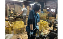 めいぼく椀テッラ小 2樹種セット(ブナ・サクラ)【めいぼく椀テッラ  10.5φ×6cm 手作り ウレタン塗装 国産天然木 おしゃれ プレゼント 記念 お祝い お椀 神奈川県 小田原市 】