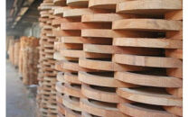 Zelkova バルク 7寸(Φ約21cm)【お皿 食器 雑貨 日用品 φ21 × 3.7 cm 木製食器 職人メイド 工芸品 職人の手作り 神奈川県 小田原市 】