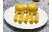 【先行予約】湘南ゴールド　３kg箱（MIXサイズ）＜出荷開始：2026年3月1日~3月31日＞【&nbsp;フルーツ&nbsp;神奈川県&nbsp;小田原市&nbsp;】