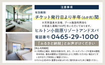 【チケット有効期限延長！】ヒルトン・スーペリア・ツインルーム宿泊プラン　1泊夕朝食付き＜1組2名様＞★オーシャンビュー！天然温泉大浴場、プール施設利用含む【オーシャンビュー&nbsp;フィットネス&nbsp;天然温泉大浴場&nbsp;バーデゾーン&nbsp;ヒルトン&nbsp;神奈川県&nbsp;小田原市&nbsp;】