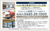 【チケット有効期限延長！】ヒルトン・和洋室デラックスルーム　1&nbsp;泊夕朝食付き＜1組2名様＞【オーシャンビュー&nbsp;フィットネス&nbsp;天然温泉大浴場&nbsp;バーデゾーン&nbsp;朝食ビュッフェ&nbsp;都心から１時間のリゾート&nbsp;ファミリーステイ可能&nbsp;ヒルトン&nbsp;神奈川県&nbsp;小田原市&nbsp;】