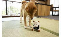 ワンちゃんと一緒にステイヒルトンドッグフレンドリールーム素泊まり（平日）【オーシャンビュー フィットネス 天然温泉大浴場 バーデゾーン 朝食ビュッフェ 都心から１時間のリゾート ヒルトン 神奈川県 小田原市 】