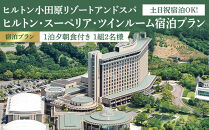 【チケット有効期限延長！】土日祝宿泊OK!　ヒルトン・スーペリア・ツインルーム宿泊プラン　1泊夕朝食付き＜1組2名様＞★オーシャンビュー！天然温泉大浴場、プール施設利用含む【&nbsp;ツインルーム&nbsp;オーシャンビュー&nbsp;土日祝宿泊OK&nbsp;神奈川県&nbsp;小田原市&nbsp;】